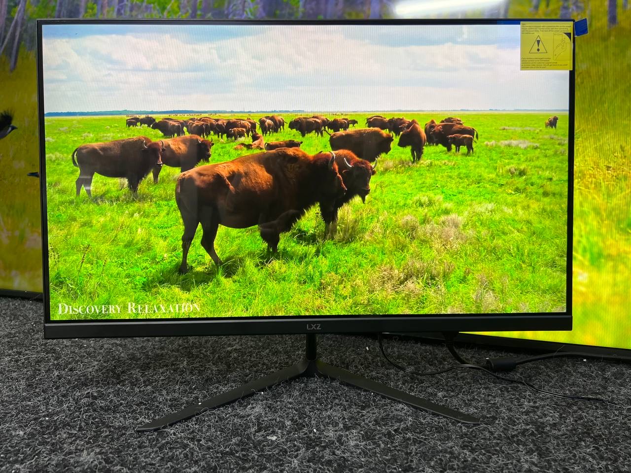 Монітор 24 дюйми LXZ LX245ZC